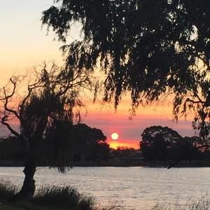 Meet your Posher, Rita